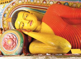 Holiday offers to Maldives & Ceylon