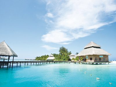 Holiday offers to Maldives & Ceylon